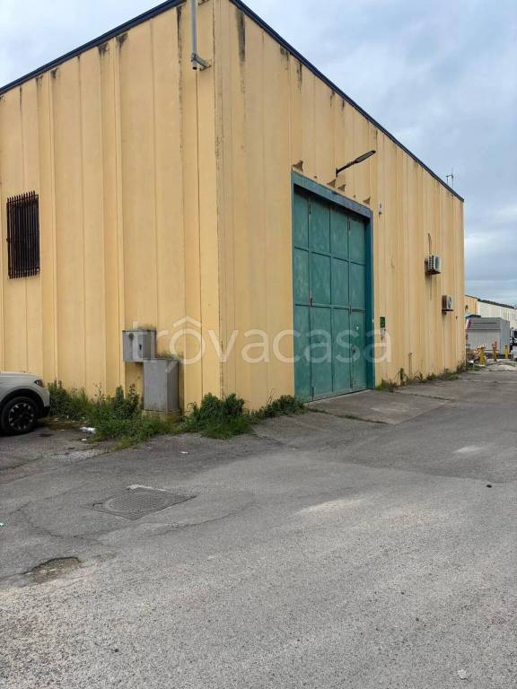 appartamento in vendita a Surbo