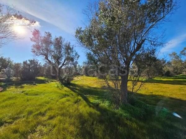 terreno agricolo in vendita a Surbo