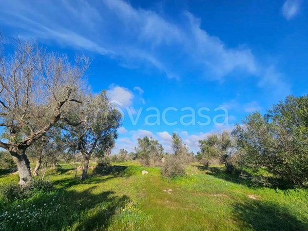 terreno agricolo in vendita a Surbo