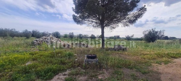terreno agricolo in vendita a Surbo