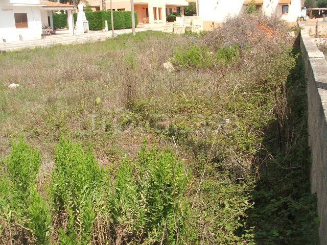 terreno agricolo in vendita a Taurisano