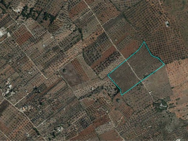 terreno agricolo in vendita a Taurisano