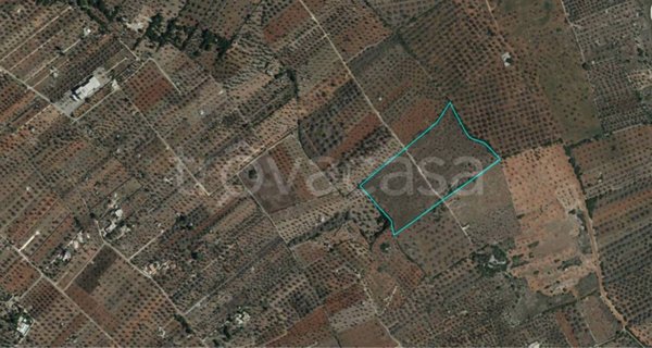terreno agricolo in vendita a Taurisano