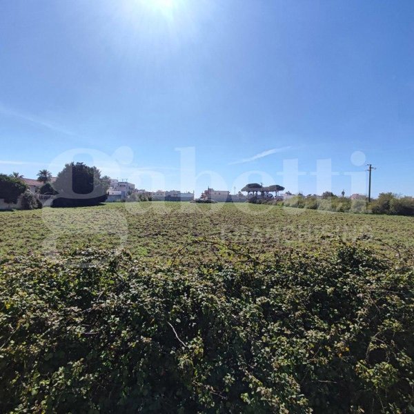 terreno agricolo in vendita a Taurisano