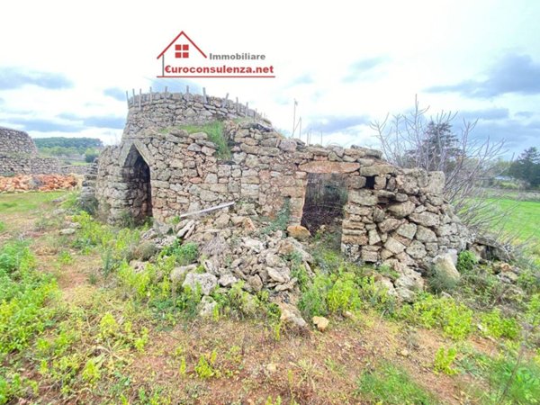 terreno agricolo in vendita a Taurisano