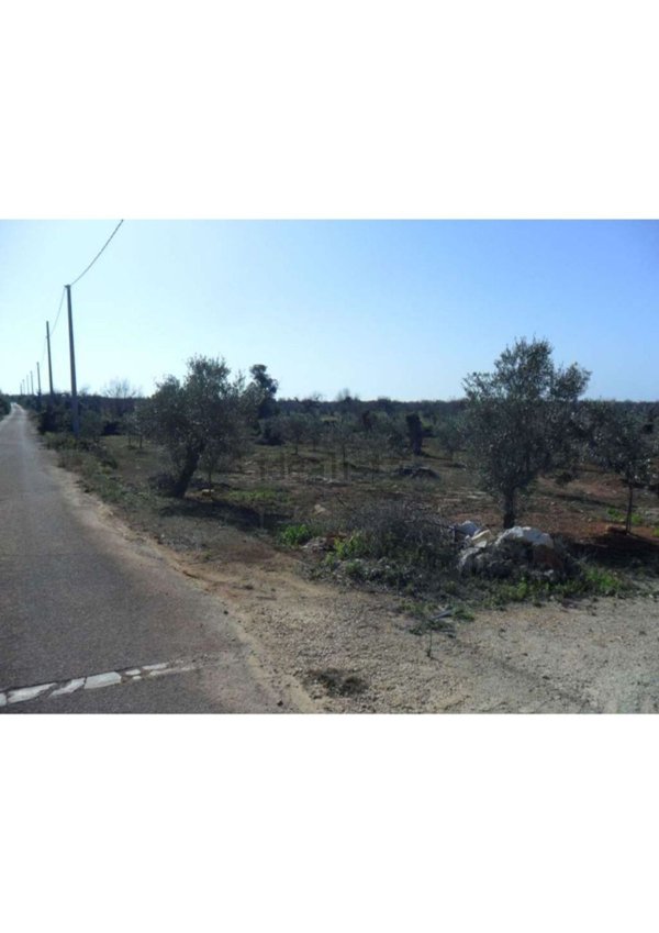 casa indipendente in vendita a Taurisano