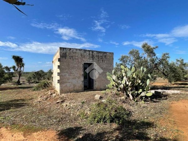 terreno agricolo in vendita a Taviano in zona Marina di Mancaversa