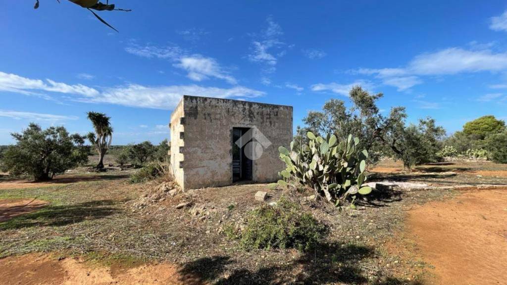 terreno agricolo in vendita a Taviano in zona Marina di Mancaversa