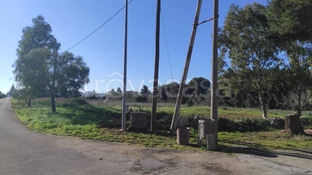 terreno agricolo in vendita a Taviano