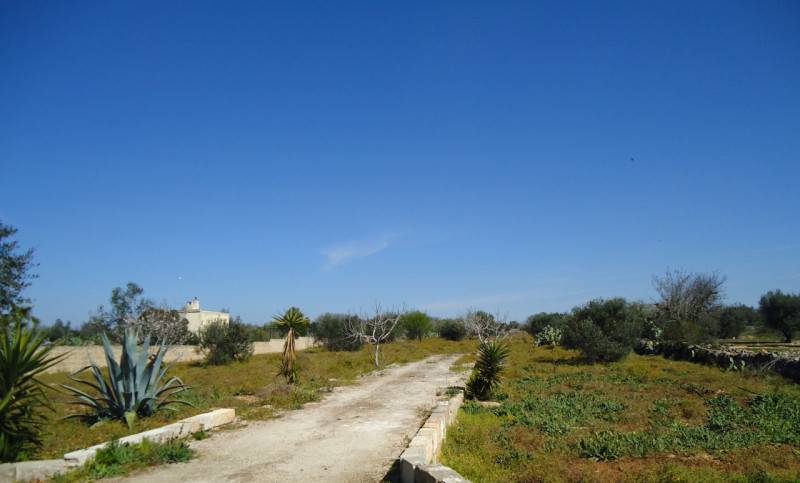 terreno agricolo in vendita a Taviano in zona Marina di Mancaversa