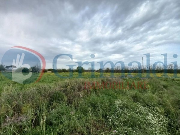 terreno agricolo in vendita a Taviano
