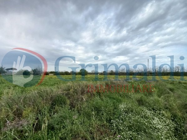 terreno agricolo in vendita a Taviano