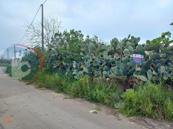 terreno agricolo in vendita a Taviano