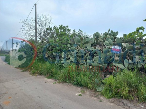 terreno agricolo in vendita a Taviano