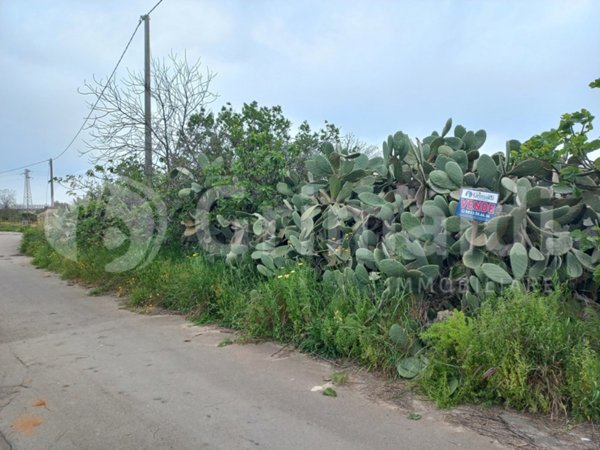 terreno agricolo in vendita a Taviano