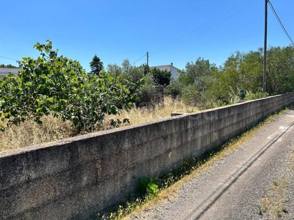 terreno agricolo in vendita a Taviano