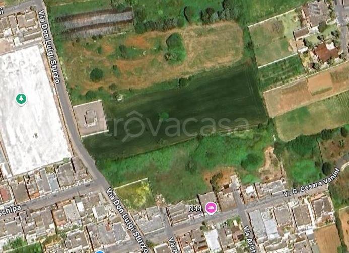 terreno agricolo in vendita a Taviano