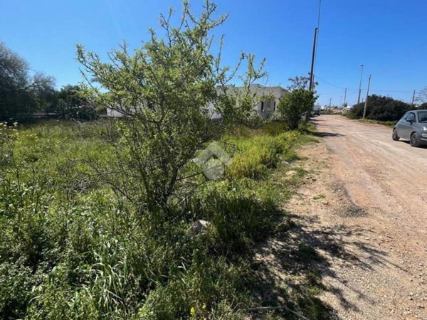 terreno agricolo in vendita a Taviano in zona Marina di Mancaversa
