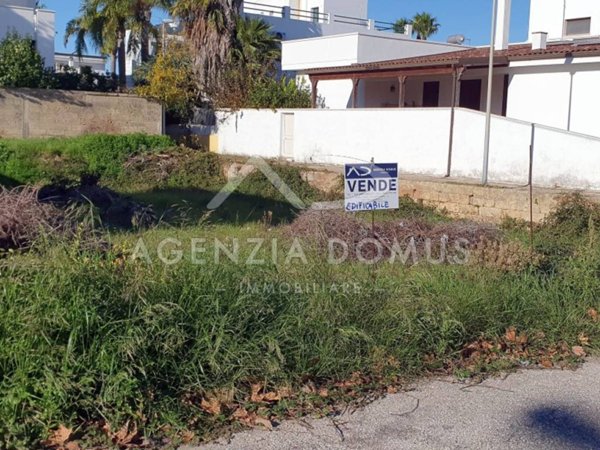 terreno agricolo in vendita a Taviano