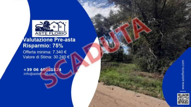 terreno agricolo in vendita a Taviano