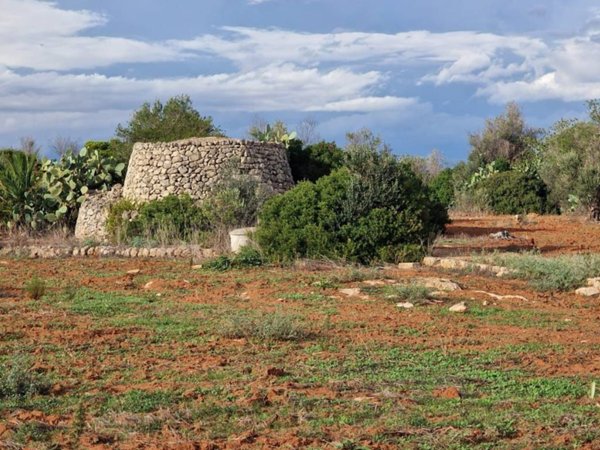 terreno agricolo in vendita a Taviano