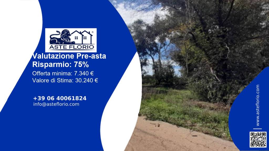 terreno agricolo in vendita a Taviano