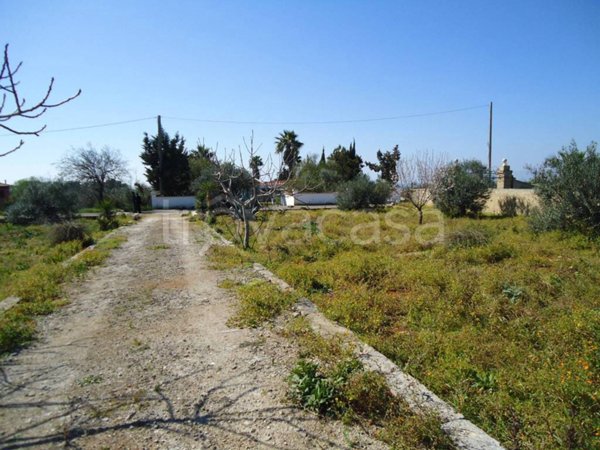 terreno agricolo in vendita a Taviano in zona Marina di Mancaversa