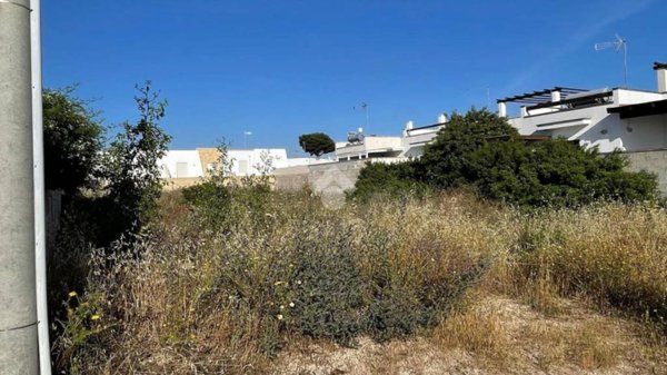 terreno agricolo in vendita a Taviano