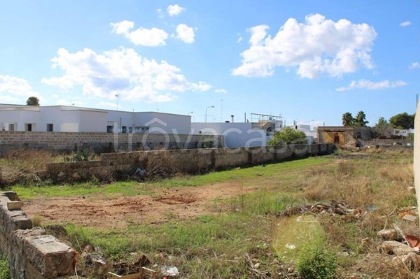 terreno agricolo in vendita a Taviano