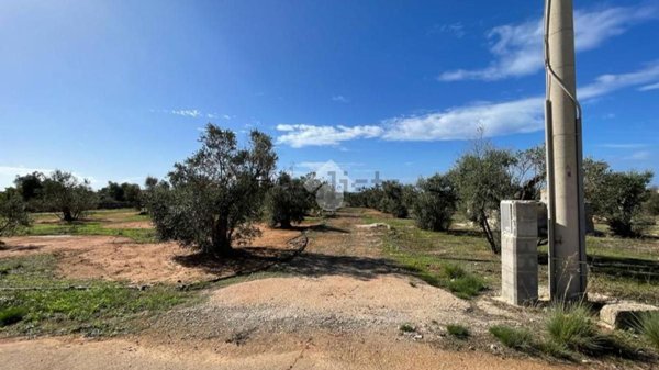 terreno agricolo in vendita a Taviano in zona Marina di Mancaversa