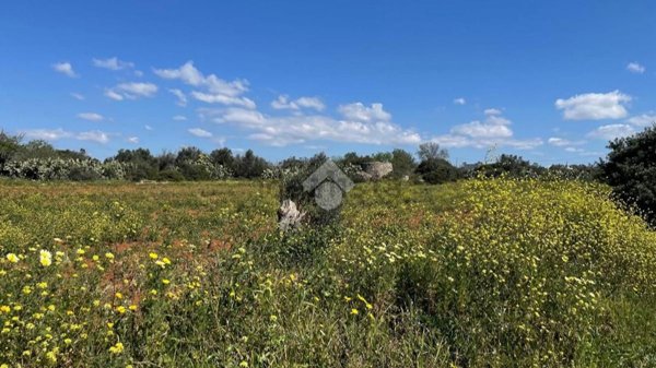 terreno agricolo in vendita a Taviano in zona Marina di Mancaversa