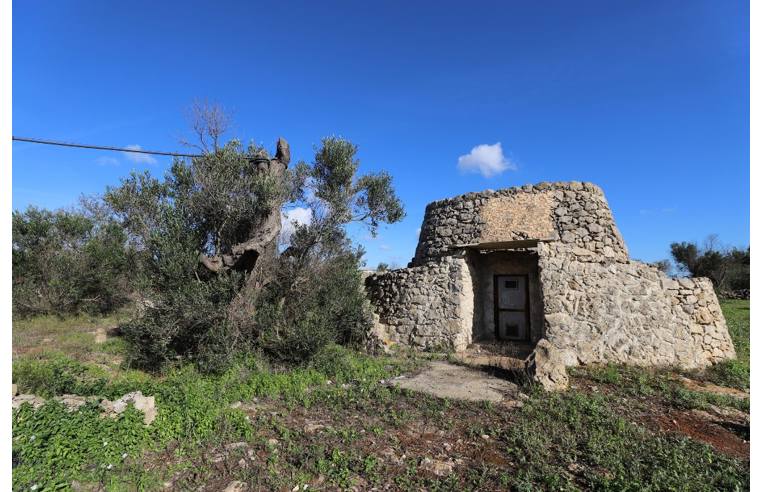 terreno agricolo in vendita a Taviano in zona Marina di Mancaversa