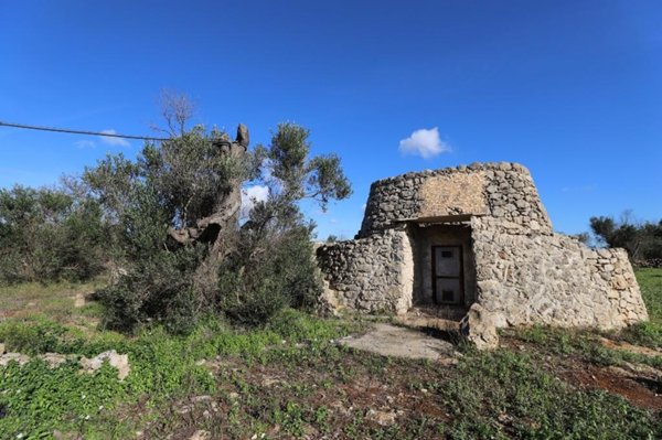 terreno agricolo in vendita a Taviano in zona Marina di Mancaversa