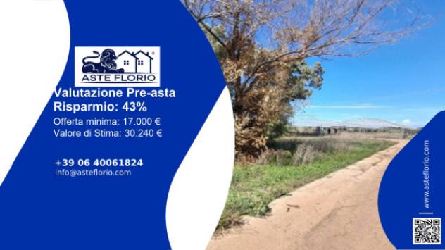 terreno agricolo in vendita a Taviano