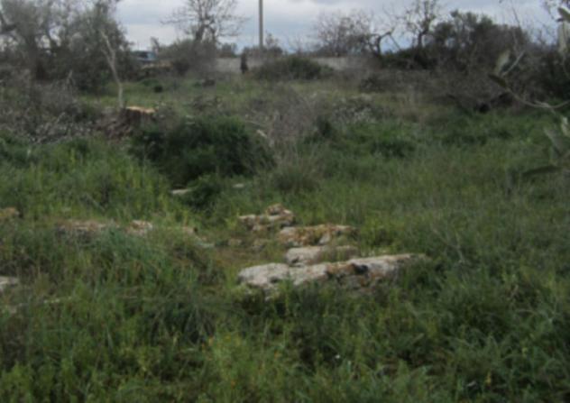terreno agricolo in vendita a Taviano