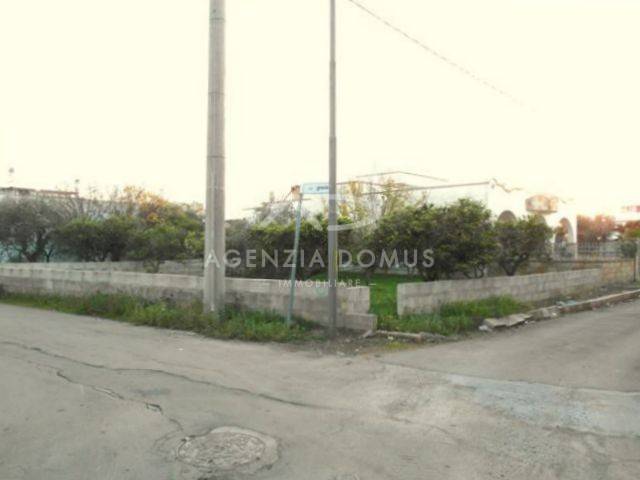 terreno agricolo in vendita a Taviano