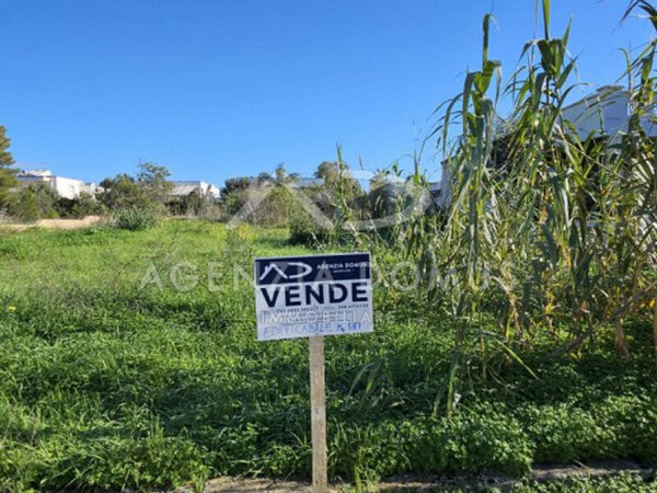 terreno agricolo in vendita a Taviano