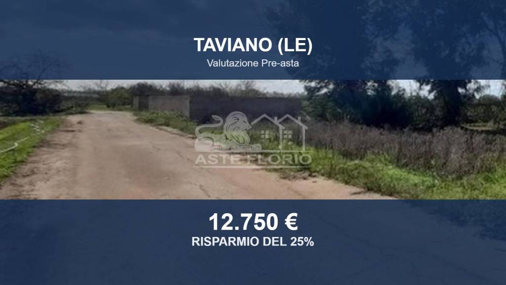 terreno agricolo in vendita a Taviano