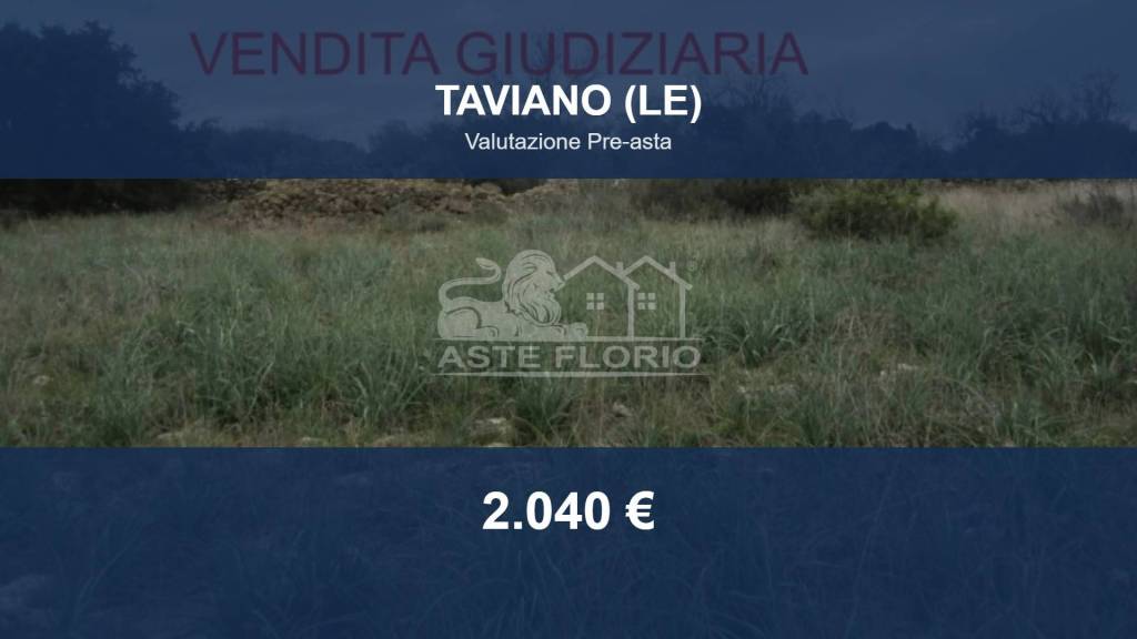 terreno agricolo in vendita a Taviano