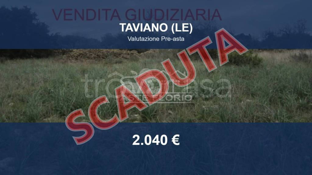 terreno agricolo in vendita a Taviano