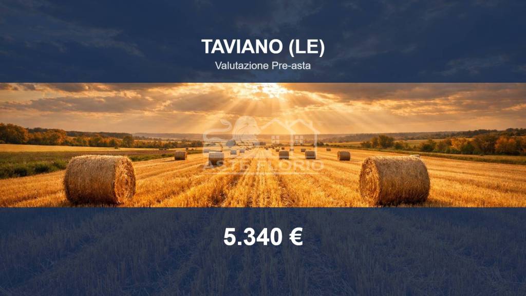 terreno agricolo in vendita a Taviano