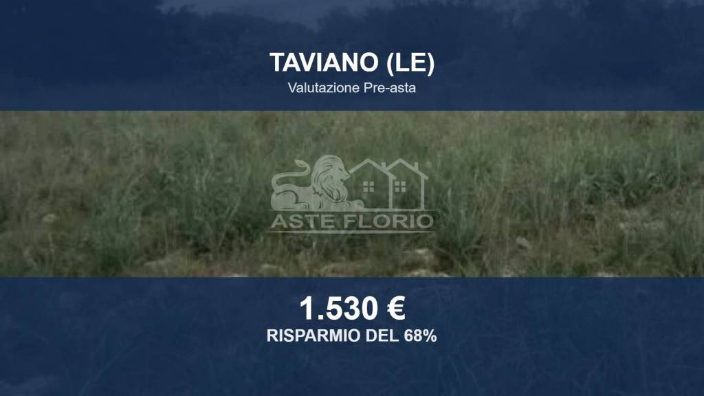 terreno agricolo in vendita a Taviano
