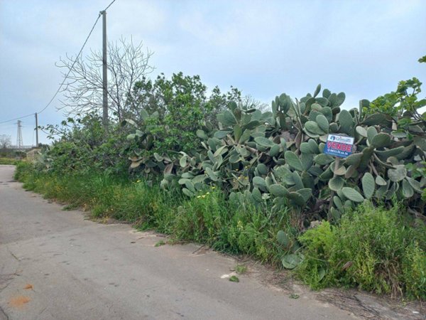 terreno agricolo in vendita a Taviano