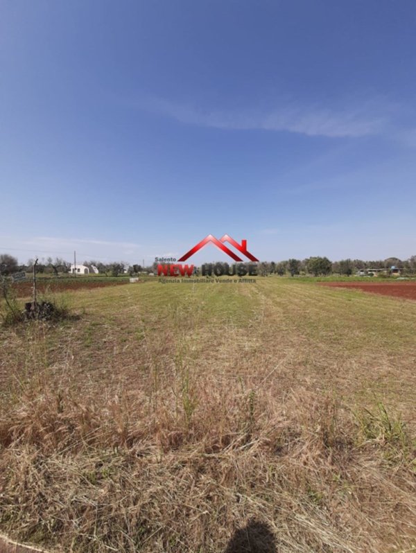 terreno agricolo in vendita a Tiggiano