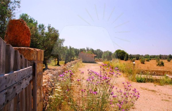 casa indipendente in vendita a Tiggiano