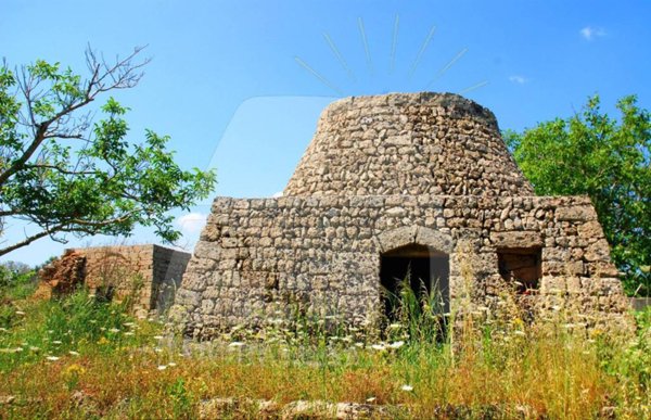 terreno agricolo in vendita a Tiggiano