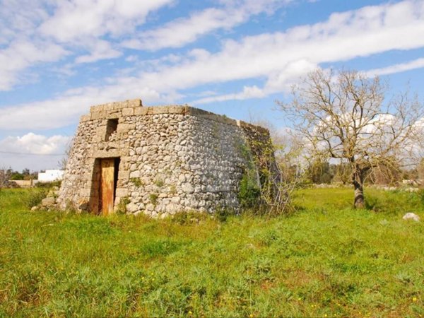 terreno agricolo in vendita a Tiggiano
