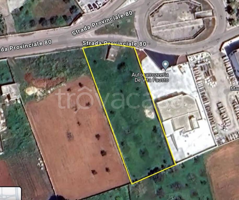 terreno agricolo in vendita a Tiggiano