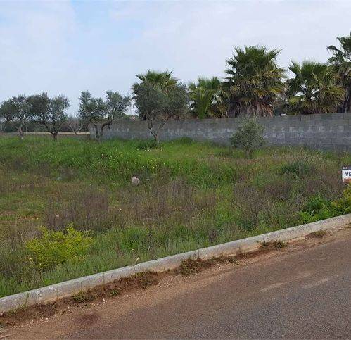 casa indipendente in vendita a Tiggiano