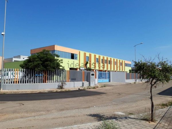 terreno edificabile in vendita a Tiggiano